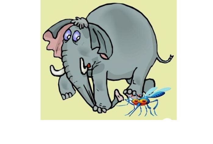de mug en olifant
